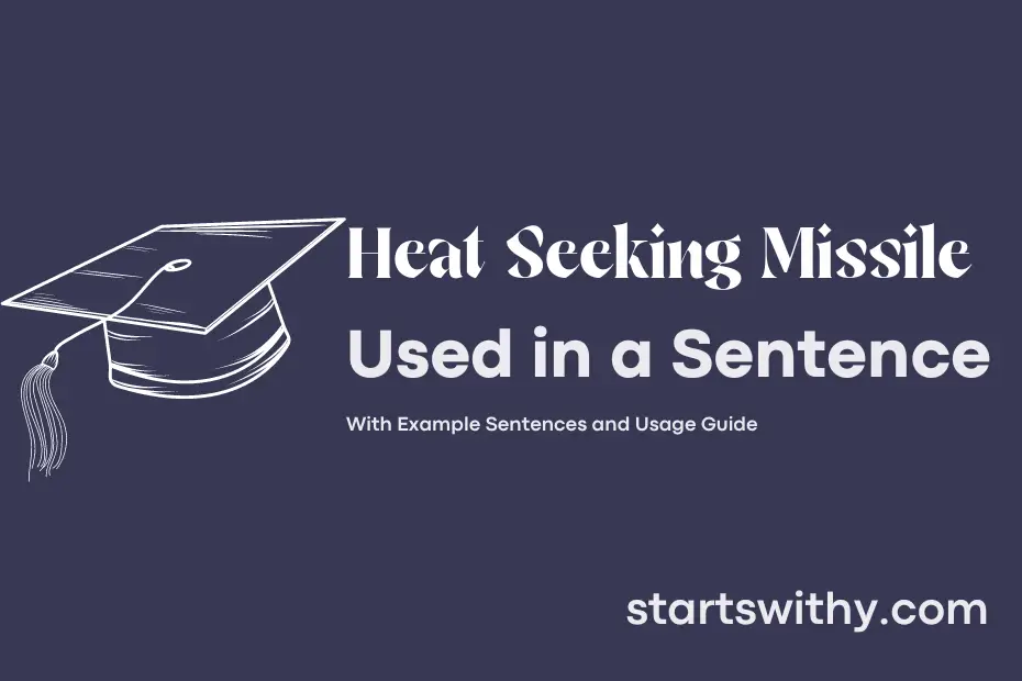 sentence with Heat Seeking Missile