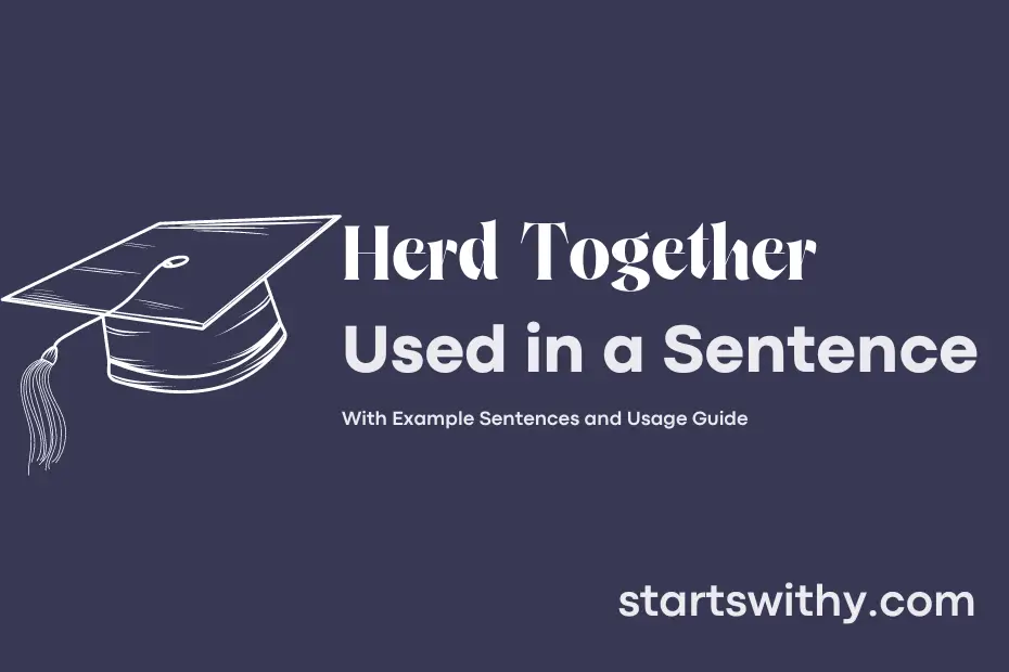 sentence with Herd Together