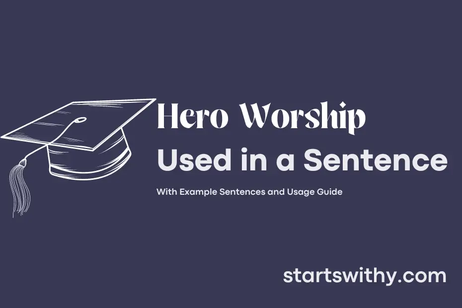 sentence with Hero Worship