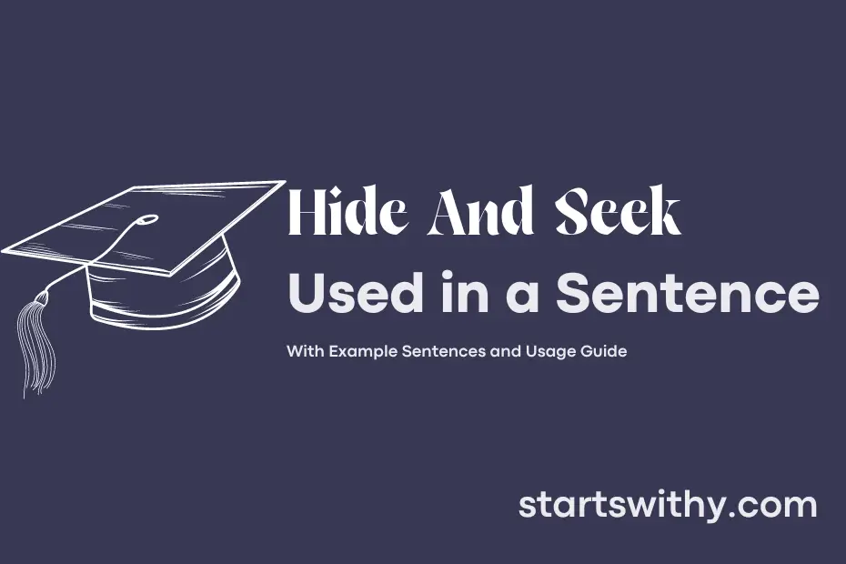 sentence with Hide And Seek