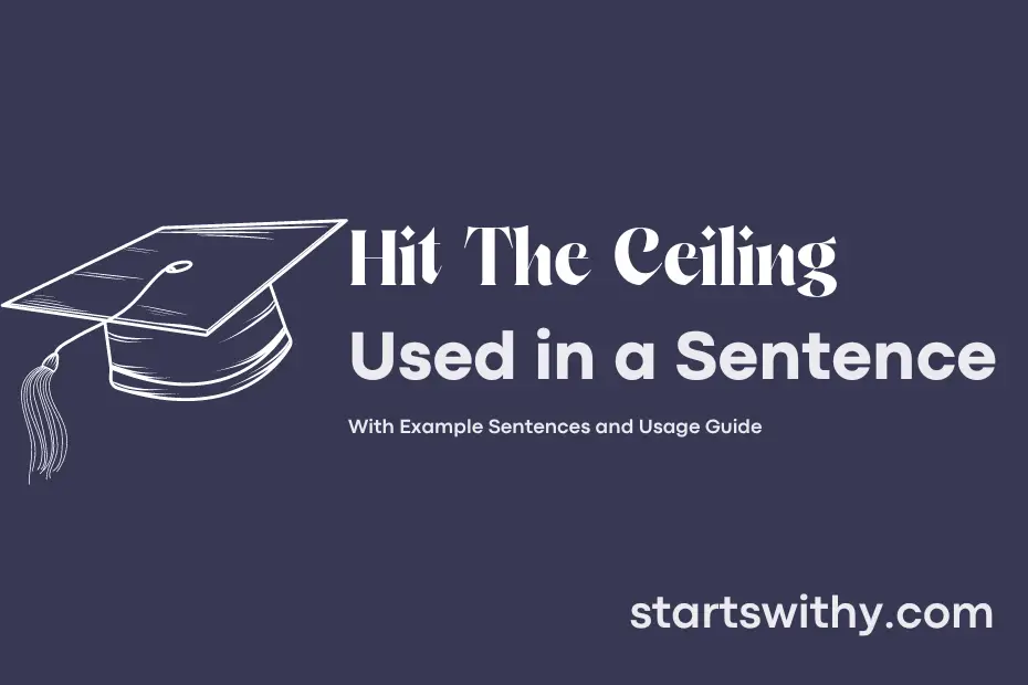 sentence with Hit The Ceiling