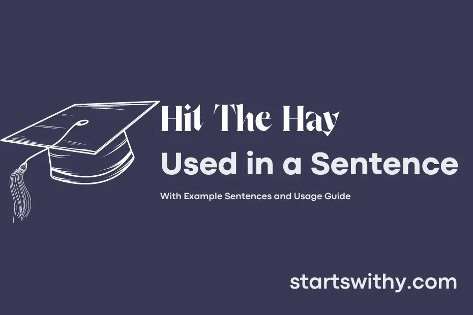 sentence with Hit The Hay
