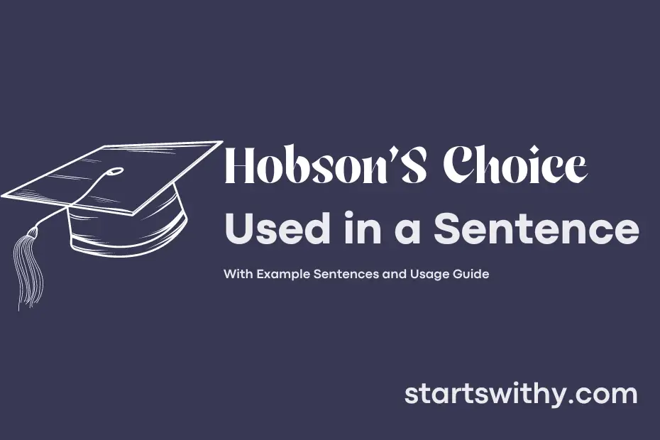 sentence with Hobson'S Choice