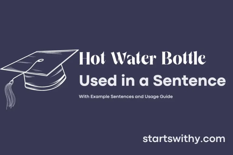 HOT WATER BOTTLE in a Sentence Examples 21 Ways to Use Hot Water Bottle