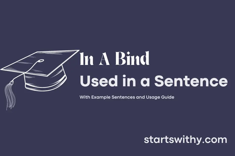 sentence with In A Bind