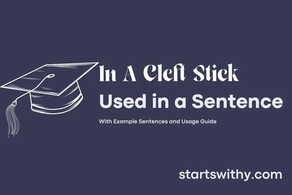 sentence with In A Cleft Stick