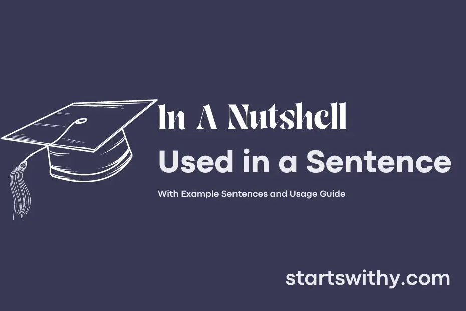 sentence with In A Nutshell
