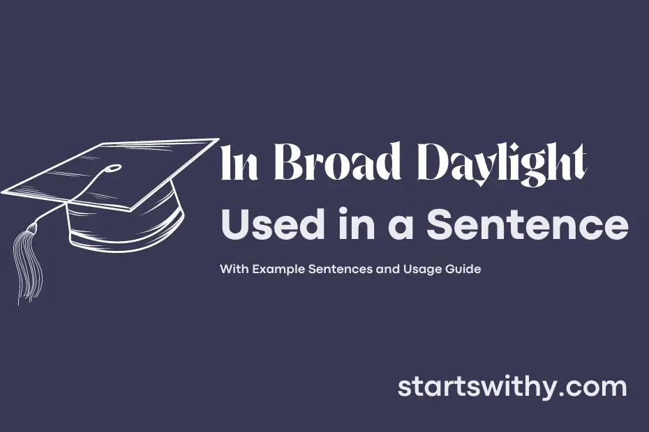 sentence with In Broad Daylight