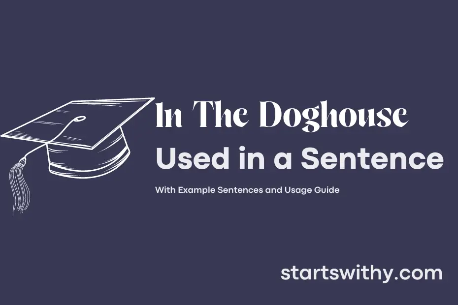 sentence with In The Doghouse
