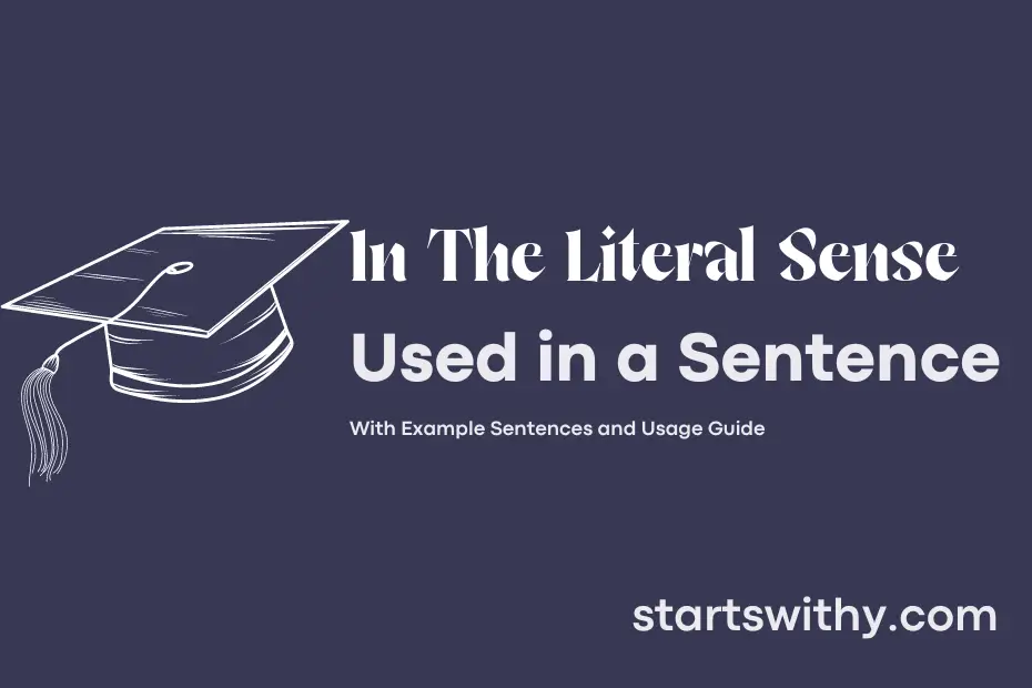 sentence with In The Literal Sense