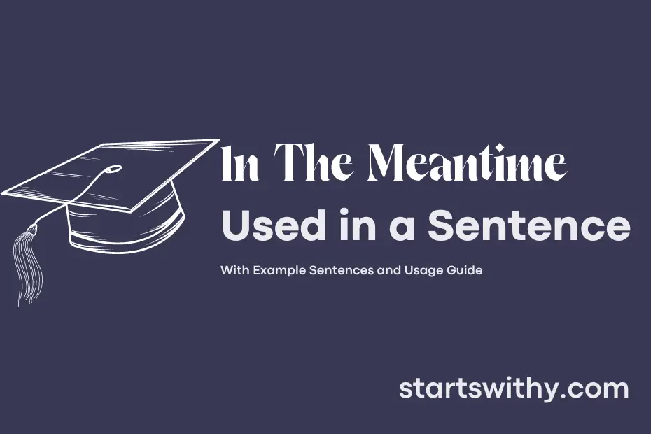 sentence with In The Meantime
