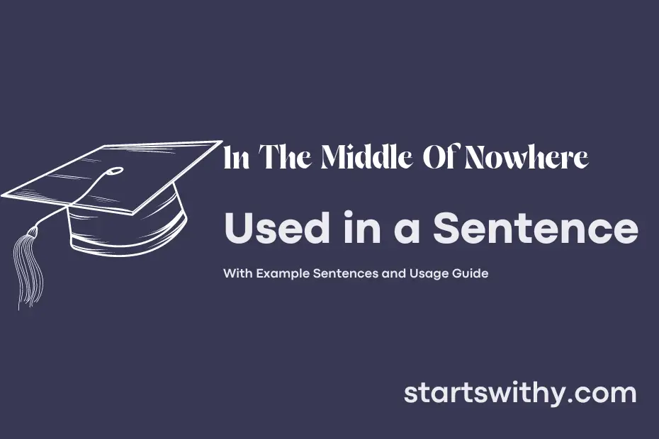 sentence with In The Middle Of Nowhere