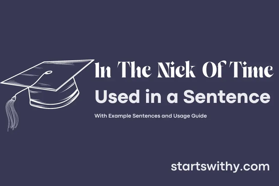 sentence with In The Nick Of Time