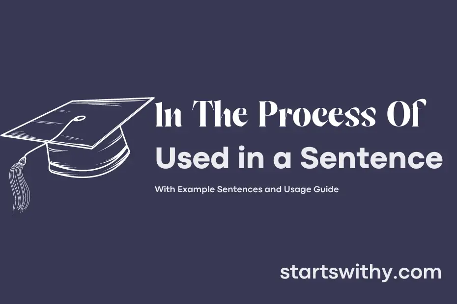 sentence with In The Process Of