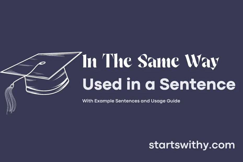 sentence with In The Same Way