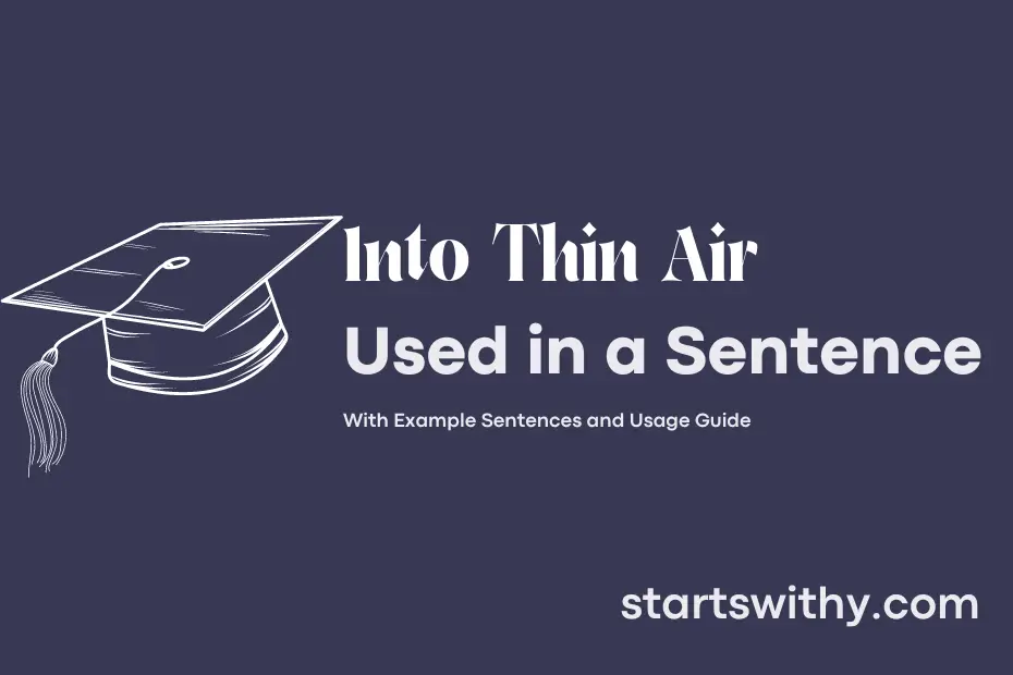 sentence with Into Thin Air