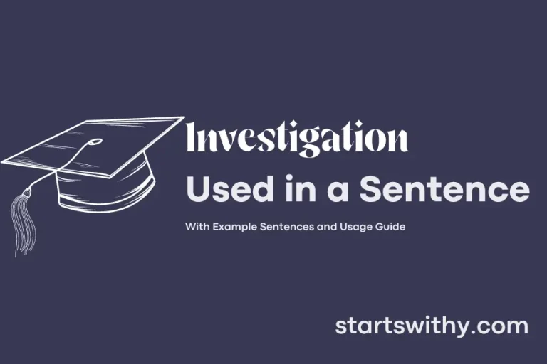 INVESTIGATION in a Sentence Examples: 21 Ways to Use Investigation