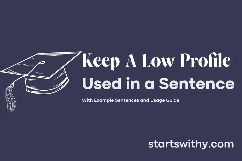 sentence with Keep A Low Profile
