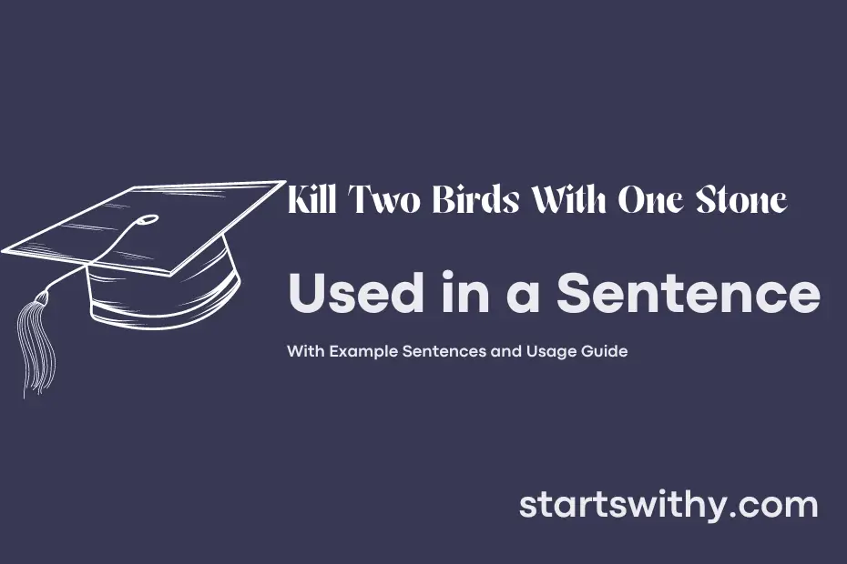 sentence with Kill Two Birds With One Stone