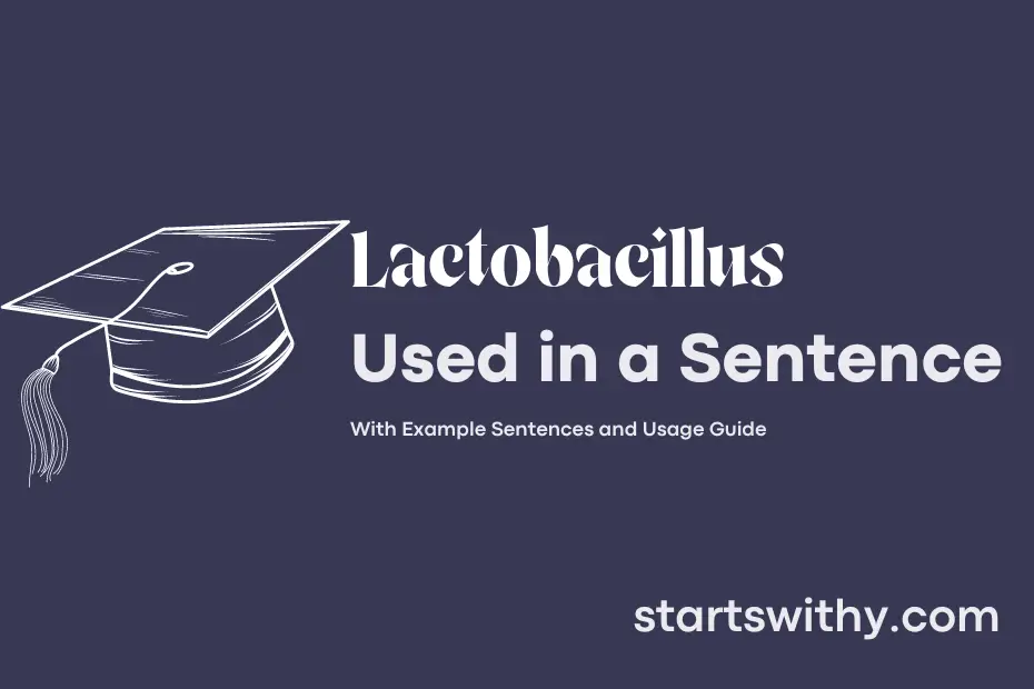 sentence with Lactobacillus