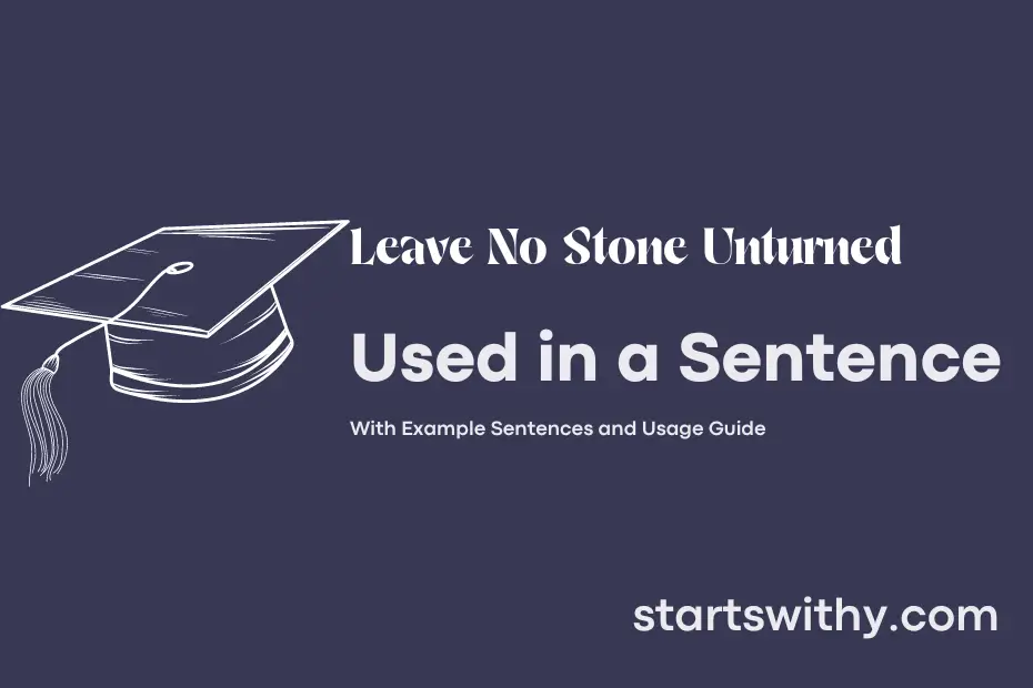 sentence with Leave No Stone Unturned
