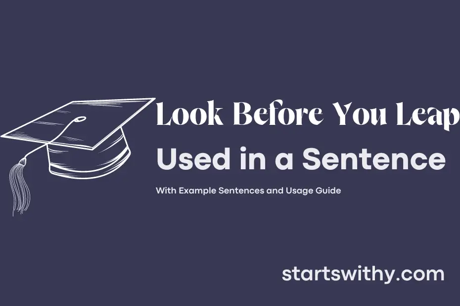 sentence with Look Before You Leap