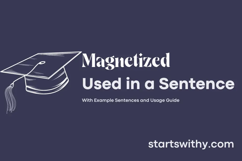 sentence with Magnetized