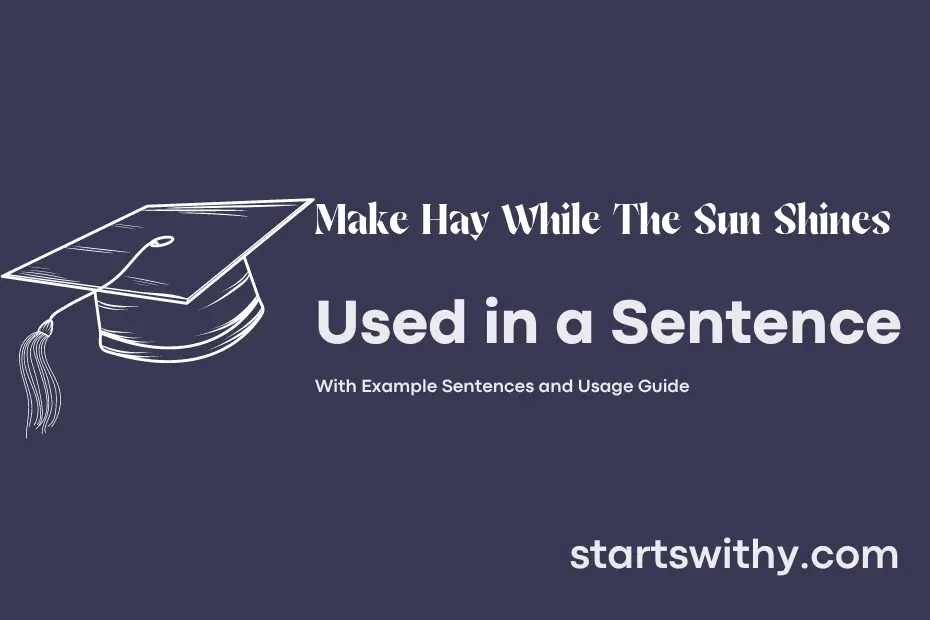 Sentence with Make Hay While The Sun Shines
