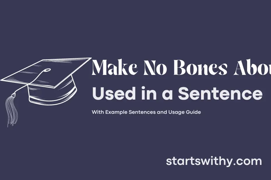 Sentence with Make No Bones About