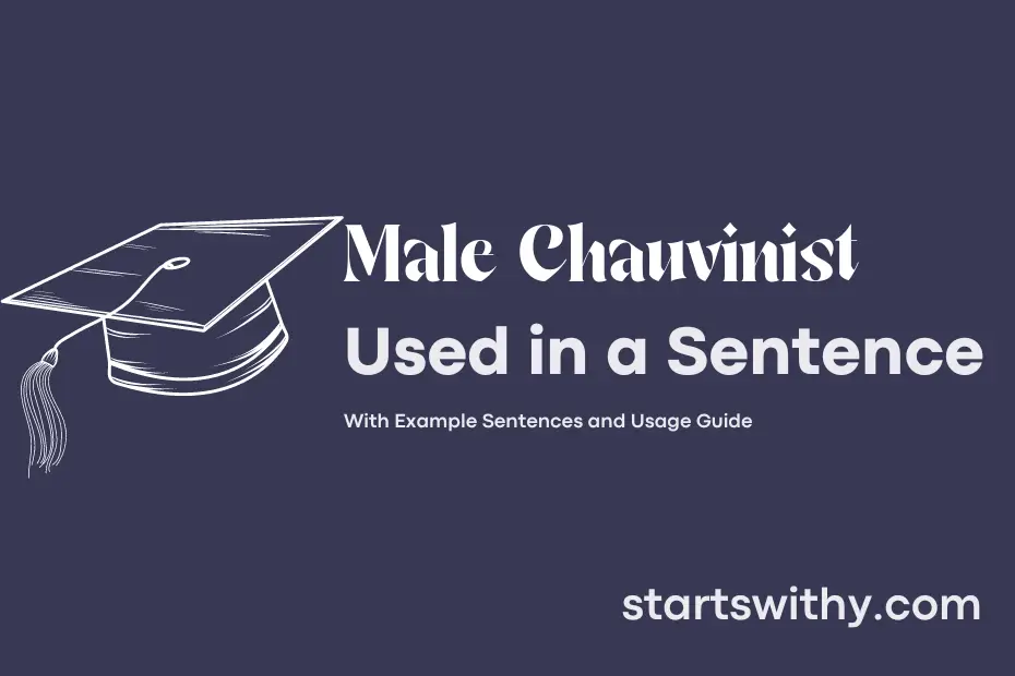 Sentence with Male Chauvinist