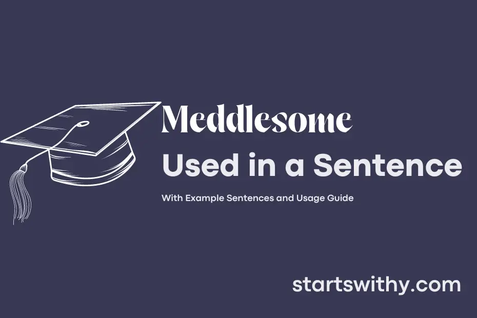 Sentence with Meddlesome