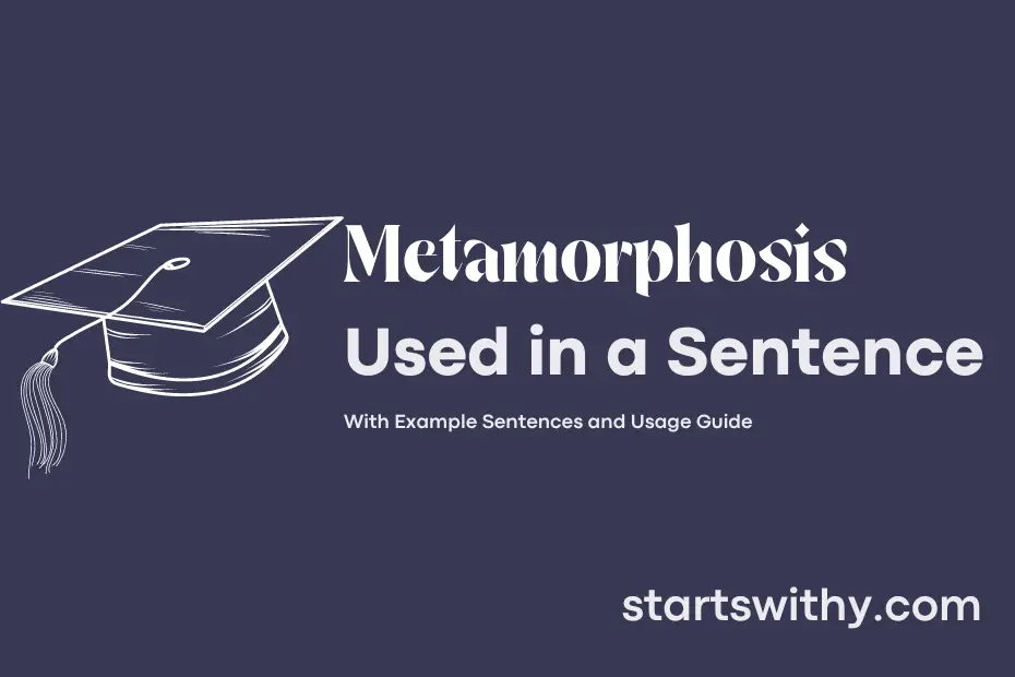 Sentence with Metamorphosis