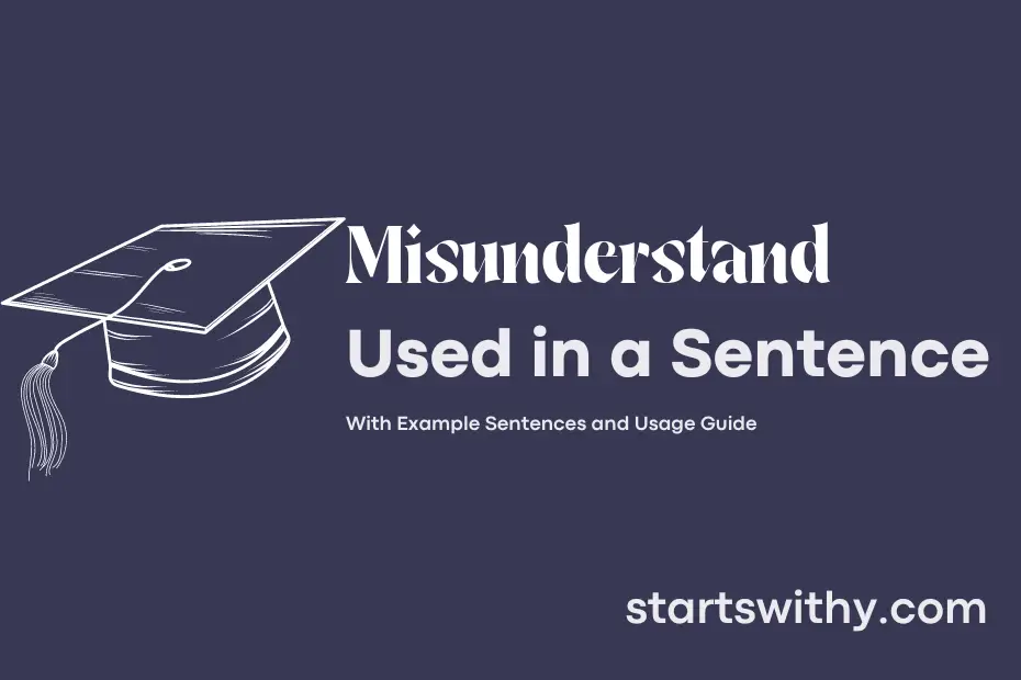 Sentence with Misunderstand
