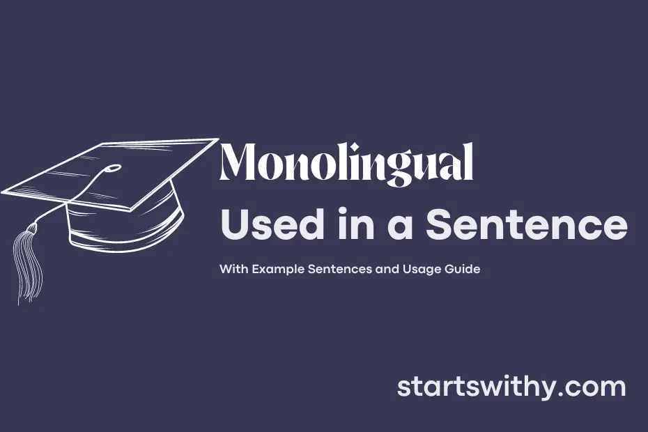 Sentence with Monolingual