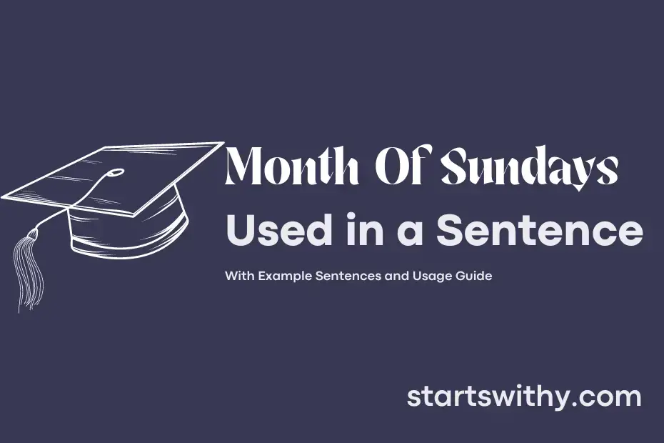 Sentence with Month Of Sundays