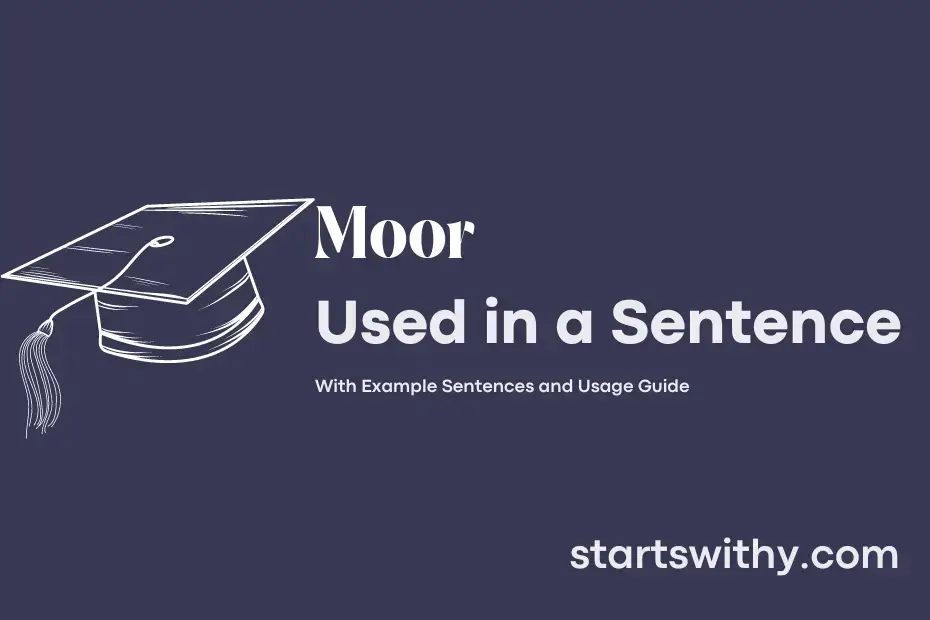 Sentence with Moor