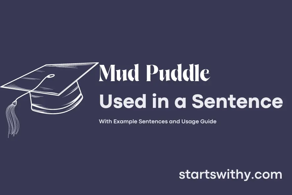 Sentence with Mud Puddle