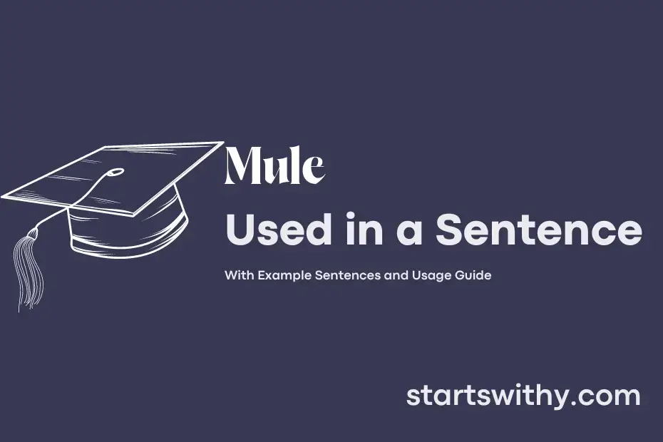 Sentence with Mule