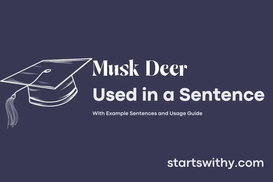 Sentence with Musk Deer