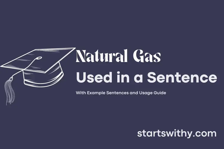 Sentence with Natural Gas