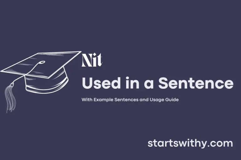 NIT in a Sentence Examples: 21 Ways to Use Nit
