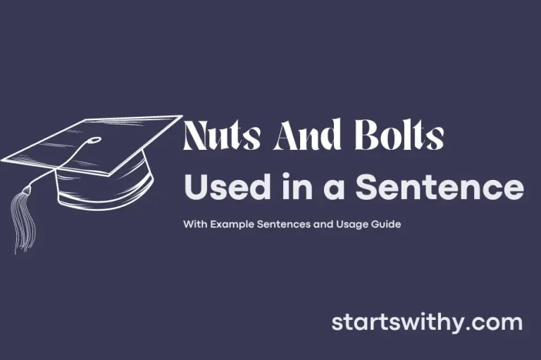 NUTS AND BOLTS in a Sentence Examples 21 Ways to Use Nuts And Bolts