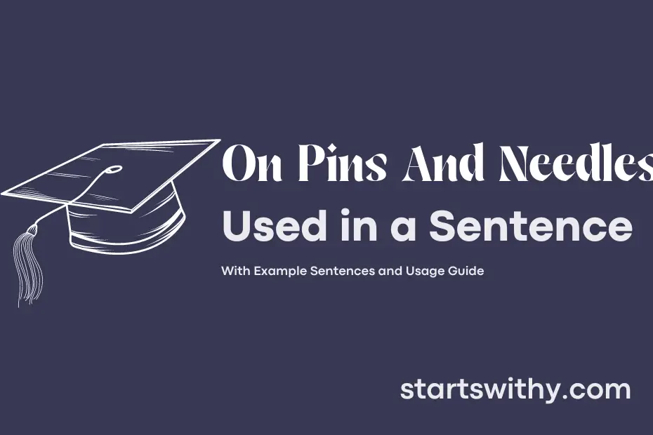 Sentence with On Pins And Needles