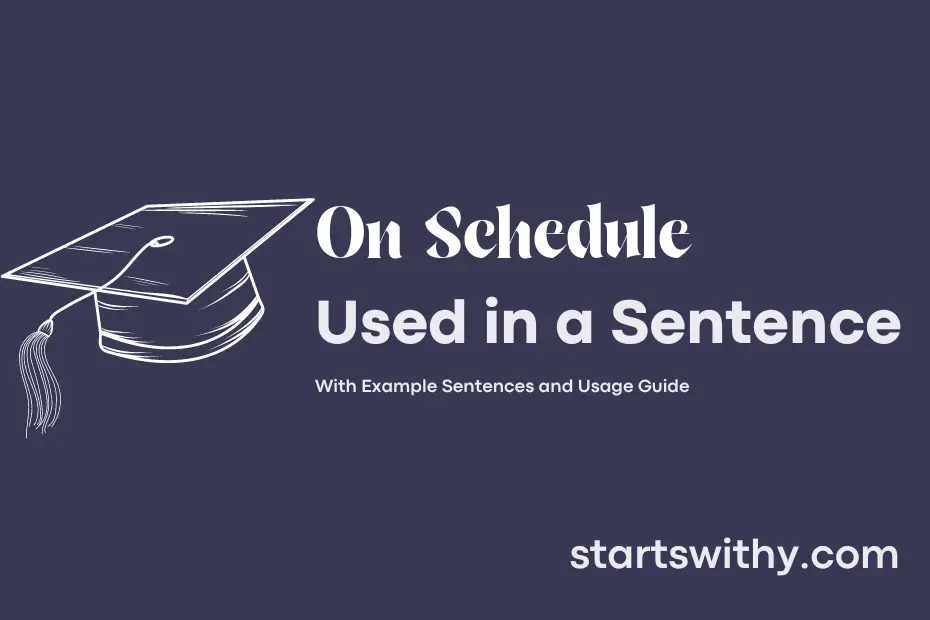 Sentence with On Schedule