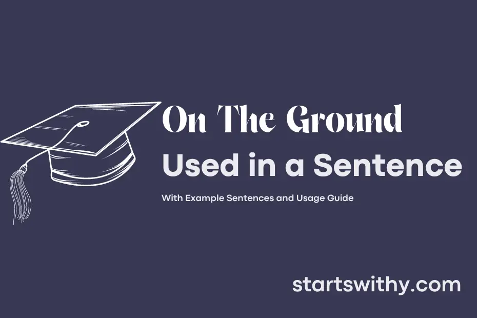 Sentence with On The Ground