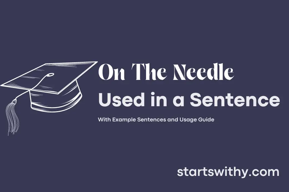 Sentence with On The Needle