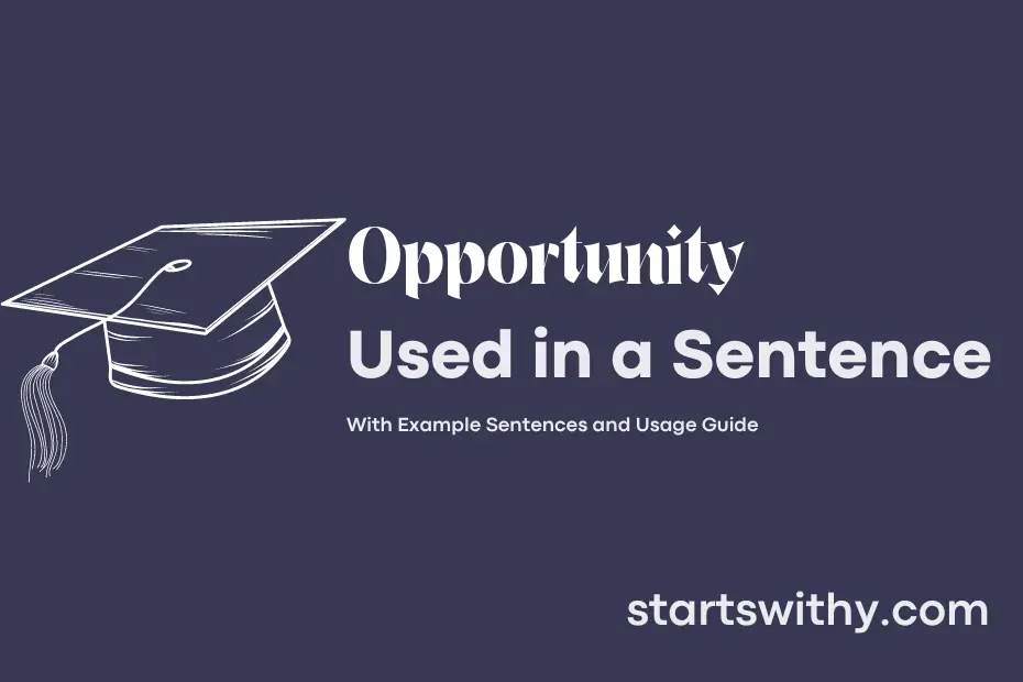 Sentence with Opportunity