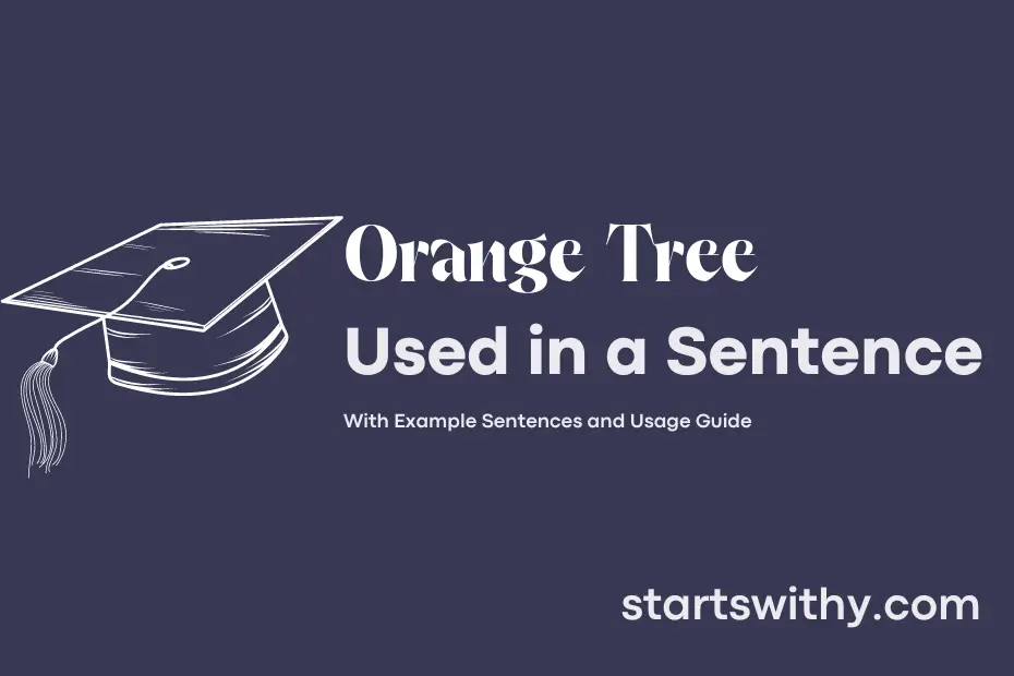 Sentence with Orange Tree
