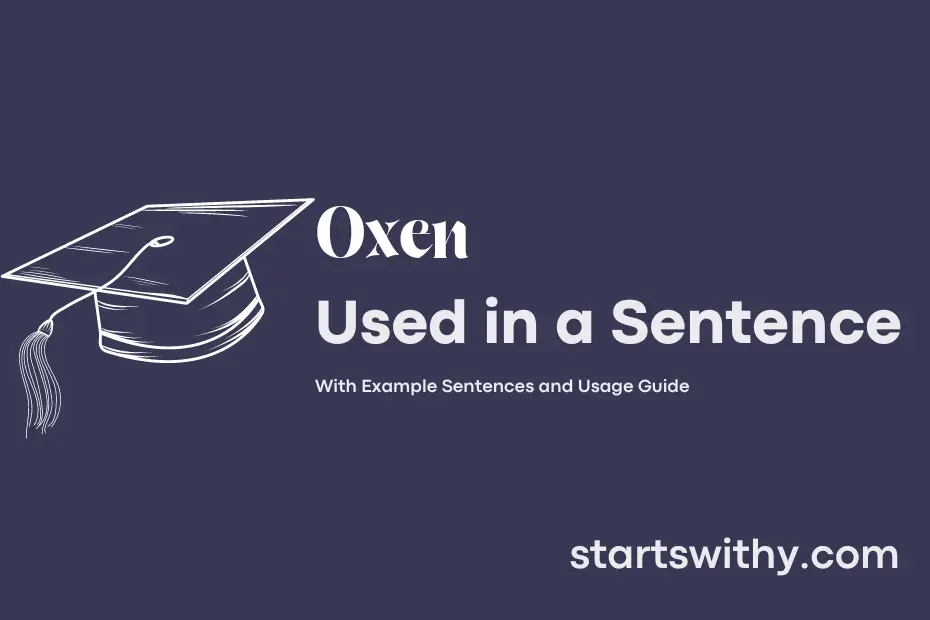Sentence with Oxen