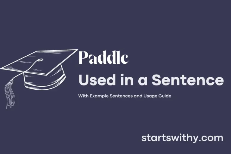 PADDLE in a Sentence Examples 21 Ways to Use Paddle